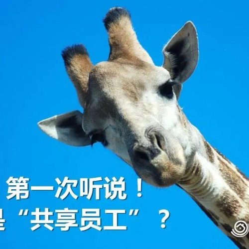 福建放大招–“共享员工”！