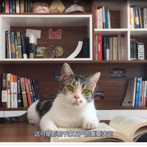 银行为什么不帮你选固定房贷利率？一盘金融大棋浮出