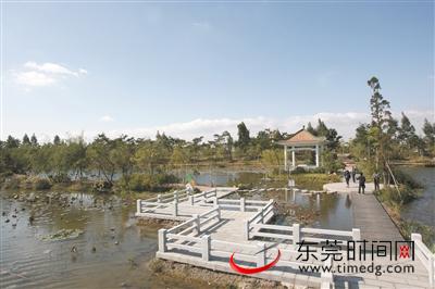 安排上了！东莞这几条水乡特色精品示范村在路上