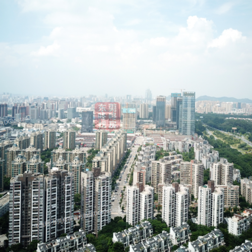 2019年1-12月广东省一般公共预算收支情况