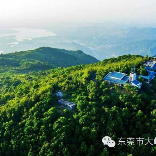 大岭山又将大变样！