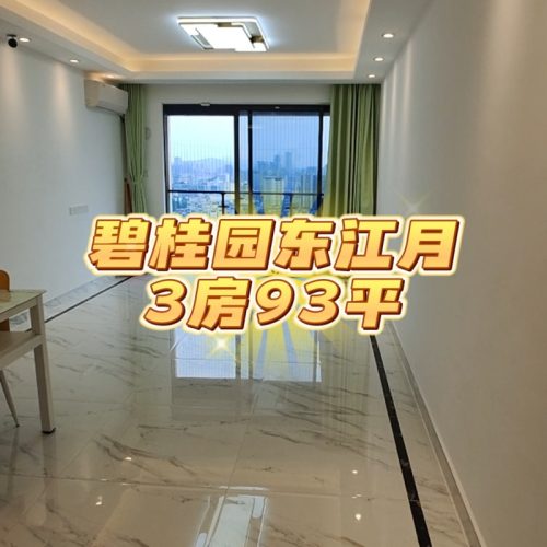 【样板】碧桂园东江月-93平-3房